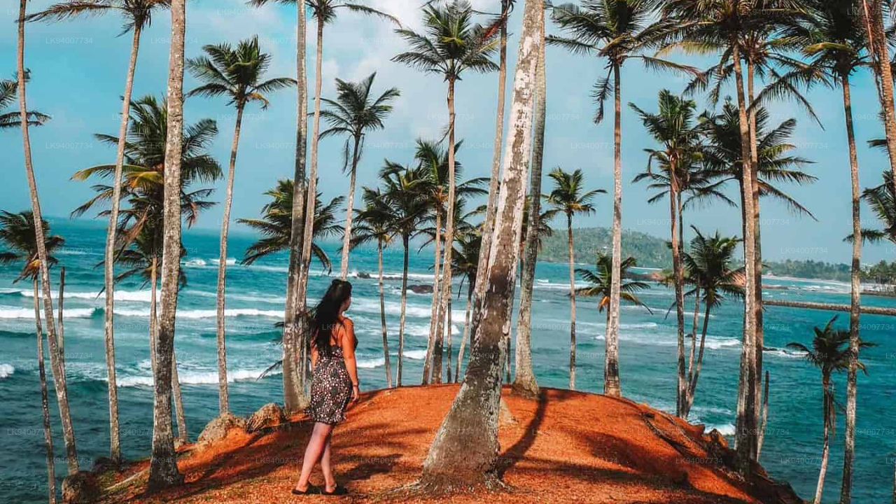 Climb Coconut Tree Hill